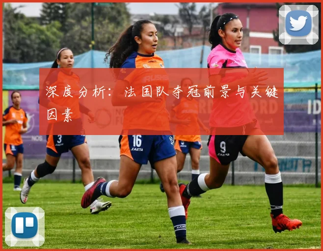 深度分析：法国队夺冠前景与关键因素